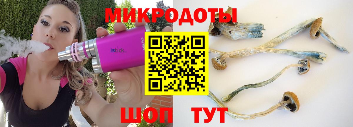 Псилоцибиновые грибы GOLDEN TEACHER Сатка